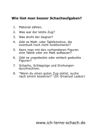 Schachaufgaben.